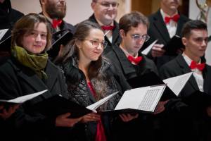 Koncert Vzhůru, pastýři - Závišice